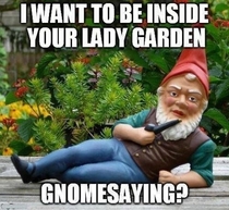 Gnomesaying 