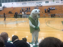 Go Geoducks