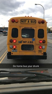 Go home bus your drunk