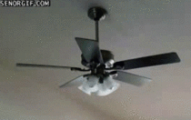 Go home ceiling fan Youre drunk