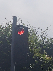 Go home Traffic Light youre drunk