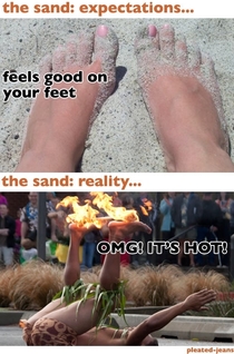 Going to Beach Expectations and Reality