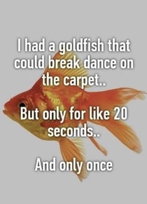 Goldfish got Talent