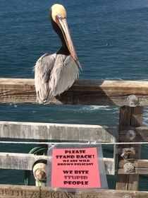 Good advice from this San Diego pier