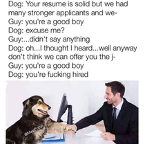 Good Boy