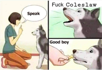 Good boy