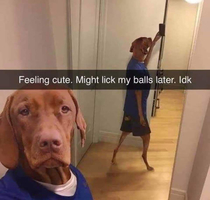 Good boy selfie