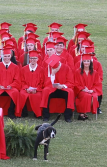 Good boy shows his love for the new graduates