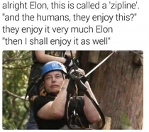 Good Elon