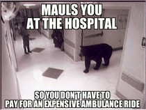 Good Guy Bear