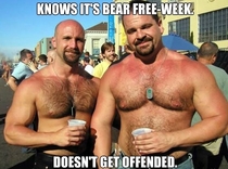 Good Guy Human Bears