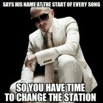 Good Guy Pitbull