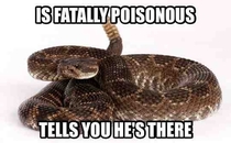 Good Guy Rattlesnake