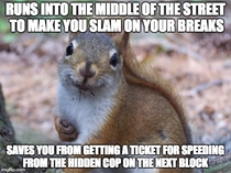 Good Guy Squirrel