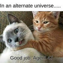 Good job Agent 