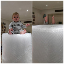 Good job there was bubble wrap