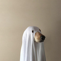 Goodest ghost