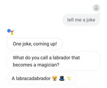 Google assistant joke