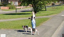 Google blurred this dogs face
