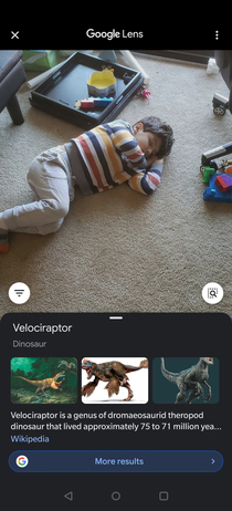 Google lens is telling me my son is a velociraptor Im concern