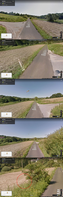 Google Maps car hits a hare at speed