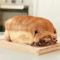 Googled dog bread instead of dog breed Not dissapointed