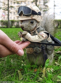 Googled Marine Animals Was not disappointed