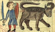 Googled medieval animal movement Was not disappointed