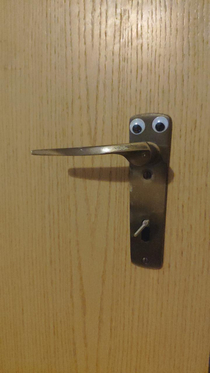 Googly eyes just make everything better