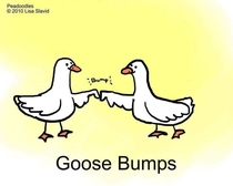 Goose bumps