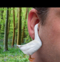 Goose Earbud