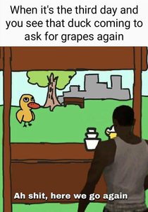 Got any grapes