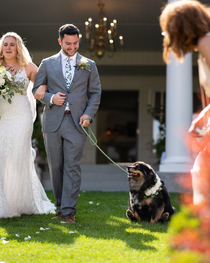 Got married last week our dog decided to steal the show by scooting his butt down the isle