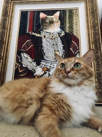 Got my gf this regal cat portrait for Christmas I think her cat approves