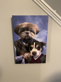 Got my portrait of my two dogs in today