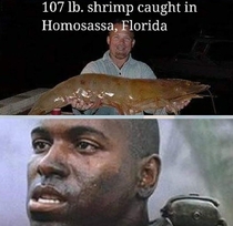 Got Shrimp