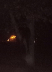 Got this picture of our friend in a tree last night using a super old android phone wouldnt be surprised seeing this in a skinwalker proof video  yrs from now