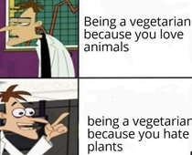 Gotcha vegans