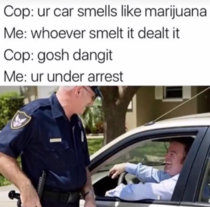 Gotta stick it to the police sometimes