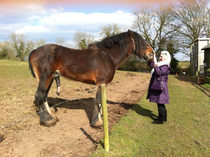 Granny was wondering why we were laughing at her stroking a horse