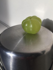 Grape shaped like a pumpkin  grumpkin