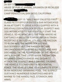 Greatest Police Report Ever