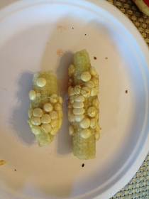Grew corn in our backyard for the first time Nailed it