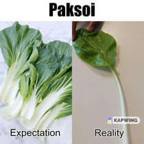 Growing paksoi is difficult