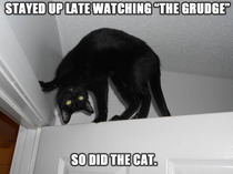 Grudge Kitteh