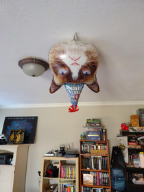 Grumpy cat balloon floated to the ceiling upside down and we just decided it was perfect that way