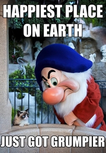 Grumpy Cat goes to Disneyland