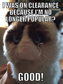 Grumpy Cat has come full circle