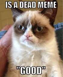 Grumpy cat is finally happy