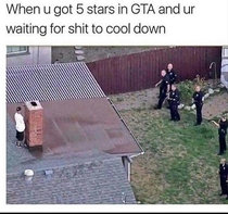 Gta irl